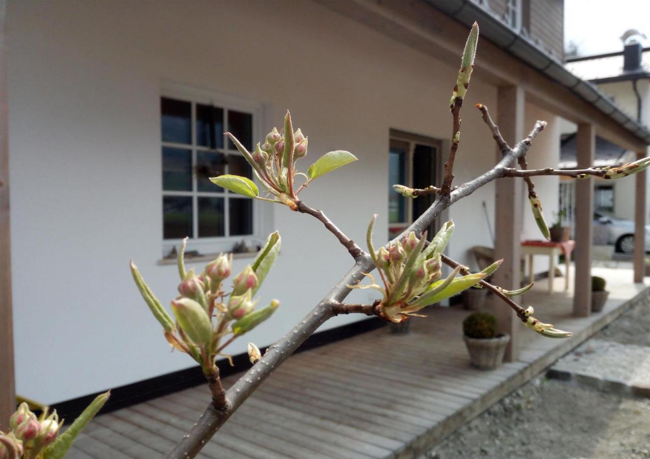Malvasia Apart Apartment Stumm Ngoại thất bức ảnh